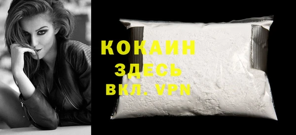 мдпв Богданович