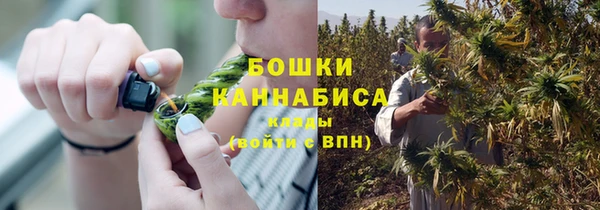 дмт Богородицк
