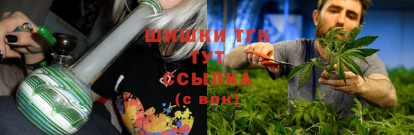 амф Богородск