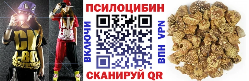 Галлюциногенные грибы мицелий Купино